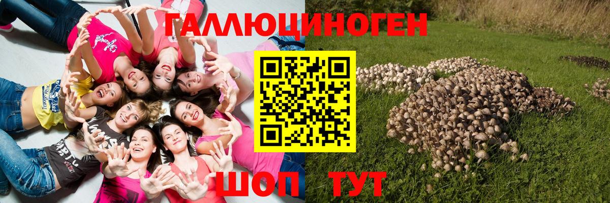 Красный Сулин  Псилоцибиновые грибы ЛСД  Галлюциногенные грибы Psilocybine cubensis  Вход с VPN 